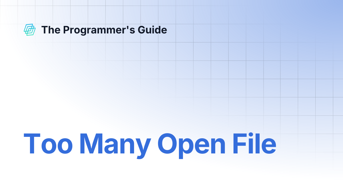 Too Many Open File | The Programmer's Guide